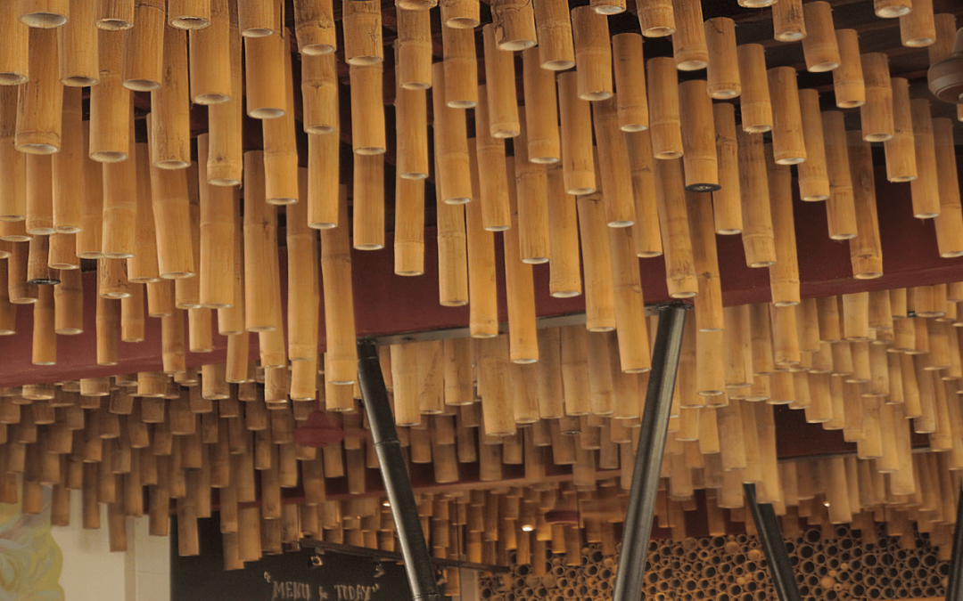 Inside the Latest and Most Impressive Room of the Philippines’ “Most Sustainable and Eco-Friendly University Campus”