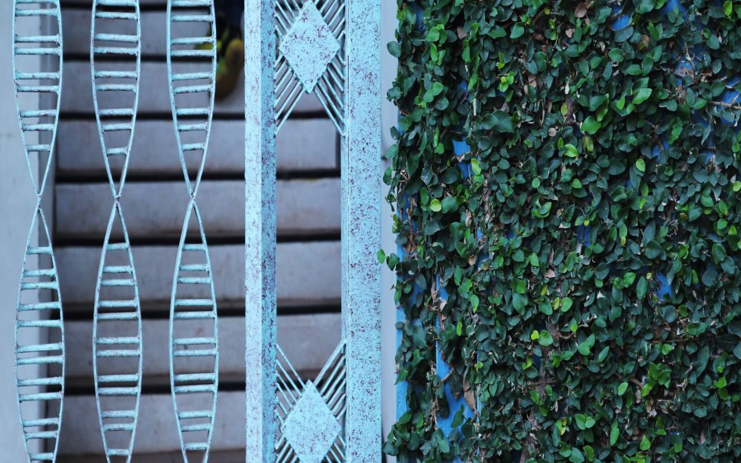 13 Creative Reasons to ‘Go for the Grille’